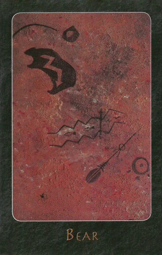 A Shaman Oracle Cards